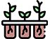icon-Seedlings.png